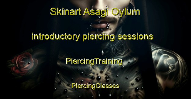 Skinart Asagi Oylum introductory piercing sessions | #PiercingTraining #PiercingClasses #SkinartTraining-Turkey