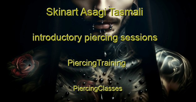 Skinart Asagi Tasmali introductory piercing sessions | #PiercingTraining #PiercingClasses #SkinartTraining-Turkey