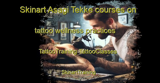 Skinart Asagi Tekke courses on tattoo wellness practices | #TattooTraining #TattooClasses #SkinartTraining-Turkey