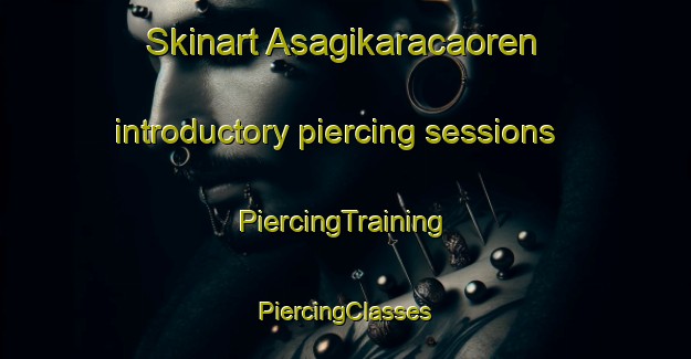 Skinart Asagikaracaoren introductory piercing sessions | #PiercingTraining #PiercingClasses #SkinartTraining-Turkey