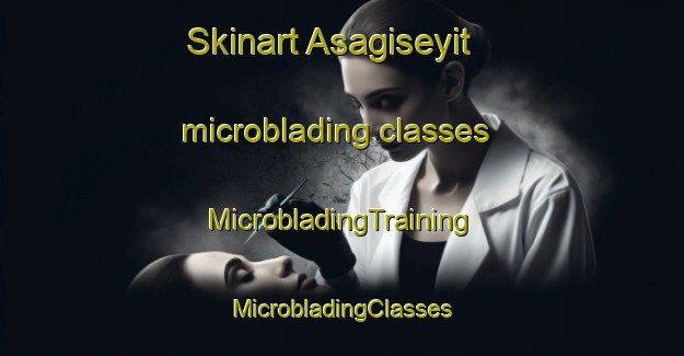 Skinart Asagiseyit microblading classes | #MicrobladingTraining #MicrobladingClasses #SkinartTraining-Turkey