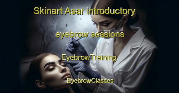 Skinart Asar introductory eyebrow sessions | EyebrowTraining | EyebrowClasses | SkinartTraining-Turkey