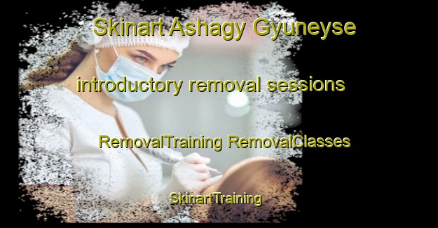 Skinart Ashagy Gyuneyse introductory removal sessions | #RemovalTraining #RemovalClasses #SkinartTraining-Turkey