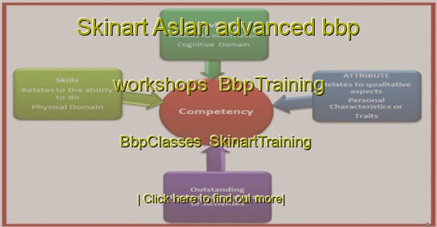 Skinart Aslan advanced bbp workshops | BbpTraining | BbpClasses | SkinartTraining-Turkey