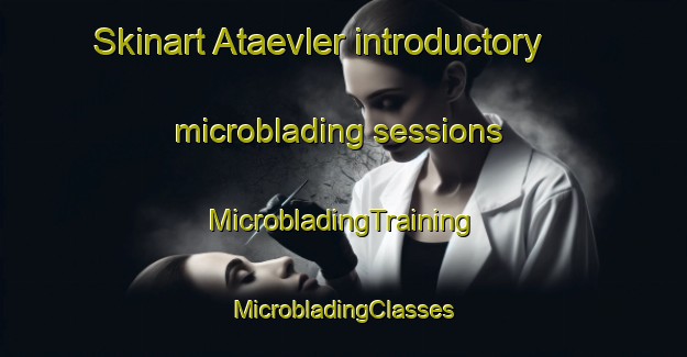 Skinart Ataevler introductory microblading sessions | #MicrobladingTraining #MicrobladingClasses #SkinartTraining-Turkey