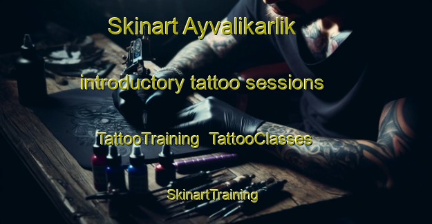 Skinart Ayvalikarlik introductory tattoo sessions | TattooTraining | TattooClasses | SkinartTraining-Turkey