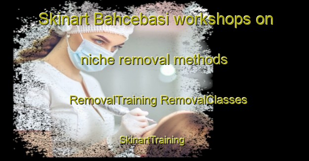 Skinart Bahcebasi workshops on niche removal methods | #RemovalTraining #RemovalClasses #SkinartTraining-Turkey