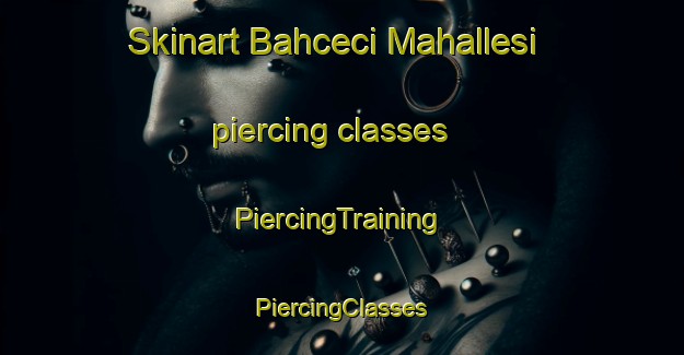 Skinart Bahceci Mahallesi piercing classes | #PiercingTraining #PiercingClasses #SkinartTraining-Turkey