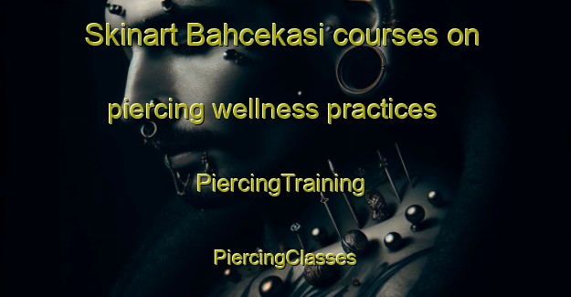 Skinart Bahcekasi courses on piercing wellness practices | #PiercingTraining #PiercingClasses #SkinartTraining-Turkey