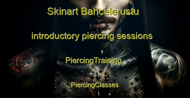 Skinart Bahcelerustu introductory piercing sessions | #PiercingTraining #PiercingClasses #SkinartTraining-Turkey