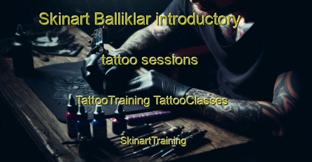 Skinart Balliklar introductory tattoo sessions | #TattooTraining #TattooClasses #SkinartTraining-Turkey