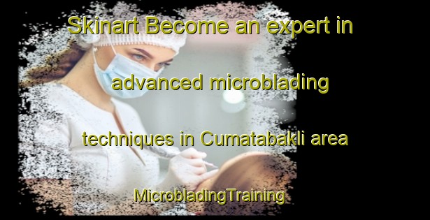 Skinart Become an expert in advanced microblading techniques in Cumatabakli area | MicrobladingTraining | MicrobladingClasses | SkinartTraining-Turkey