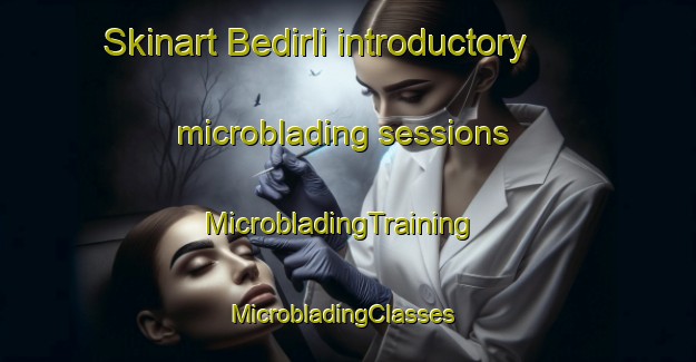 Skinart Bedirli introductory microblading sessions | MicrobladingTraining | MicrobladingClasses | SkinartTraining-Turkey