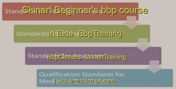 Skinart Beginner's bbp course in Bida | BbpTraining | BbpClasses | SkinartTraining-Turkey