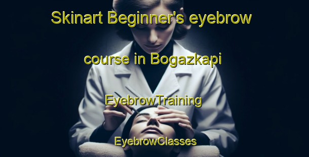 Skinart Beginner's eyebrow course in Bogazkapi | EyebrowTraining | EyebrowClasses | SkinartTraining-Turkey