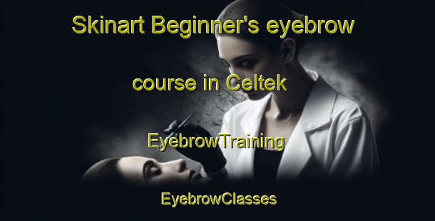 Skinart Beginner's eyebrow course in Celtek | EyebrowTraining | EyebrowClasses | SkinartTraining-Turkey