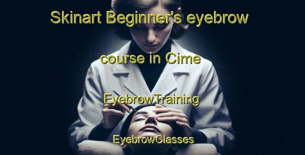 Skinart Beginner's eyebrow course in Cime | EyebrowTraining | EyebrowClasses | SkinartTraining-Turkey