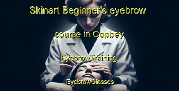 Skinart Beginner's eyebrow course in Copbey | EyebrowTraining | EyebrowClasses | SkinartTraining-Turkey