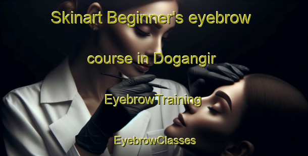 Skinart Beginner's eyebrow course in Dogangir | EyebrowTraining | EyebrowClasses | SkinartTraining-Turkey