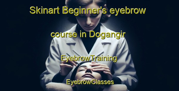 Skinart Beginner's eyebrow course in Dogangir | EyebrowTraining | EyebrowClasses | SkinartTraining-Turkey