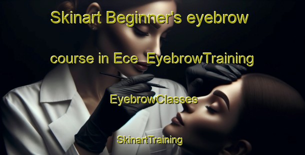 Skinart Beginner's eyebrow course in Ece | EyebrowTraining | EyebrowClasses | SkinartTraining-Turkey