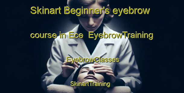 Skinart Beginner's eyebrow course in Ece | EyebrowTraining | EyebrowClasses | SkinartTraining-Turkey