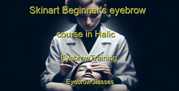 Skinart Beginner's eyebrow course in Halic | EyebrowTraining | EyebrowClasses | SkinartTraining-Turkey
