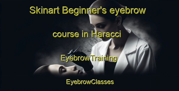 Skinart Beginner's eyebrow course in Haracci | EyebrowTraining | EyebrowClasses | SkinartTraining-Turkey