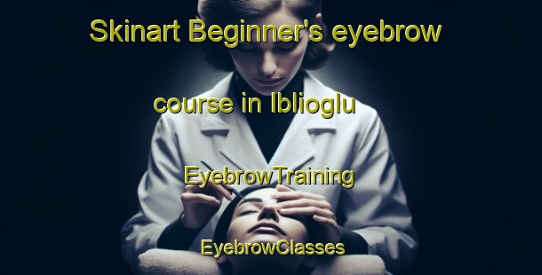 Skinart Beginner's eyebrow course in Iblioglu | EyebrowTraining | EyebrowClasses | SkinartTraining-Turkey