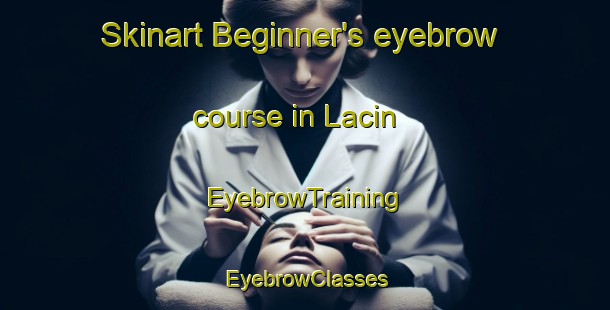 Skinart Beginner's eyebrow course in Lacin | EyebrowTraining | EyebrowClasses | SkinartTraining-Turkey