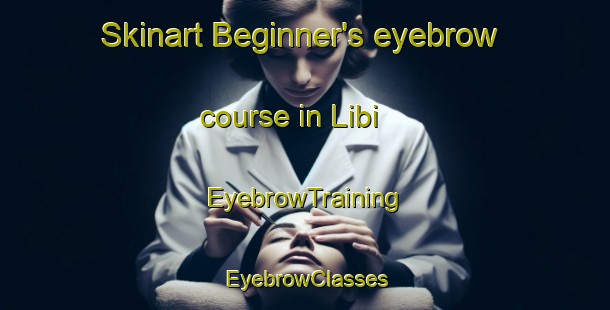 Skinart Beginner's eyebrow course in Libi | EyebrowTraining | EyebrowClasses | SkinartTraining-Turkey
