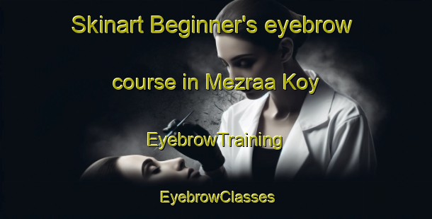 Skinart Beginner's eyebrow course in Mezraa Koy | EyebrowTraining | EyebrowClasses | SkinartTraining-Turkey