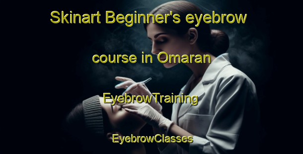 Skinart Beginner's eyebrow course in Omaran | EyebrowTraining | EyebrowClasses | SkinartTraining-Turkey
