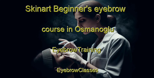 Skinart Beginner's eyebrow course in Osmanoglu | EyebrowTraining | EyebrowClasses | SkinartTraining-Turkey