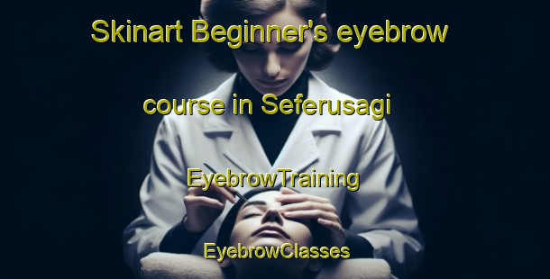 Skinart Beginner's eyebrow course in Seferusagi | EyebrowTraining | EyebrowClasses | SkinartTraining-Turkey