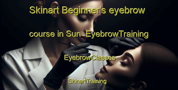 Skinart Beginner's eyebrow course in Sun | EyebrowTraining | EyebrowClasses | SkinartTraining-Turkey