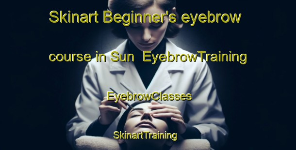 Skinart Beginner's eyebrow course in Sun | EyebrowTraining | EyebrowClasses | SkinartTraining-Turkey