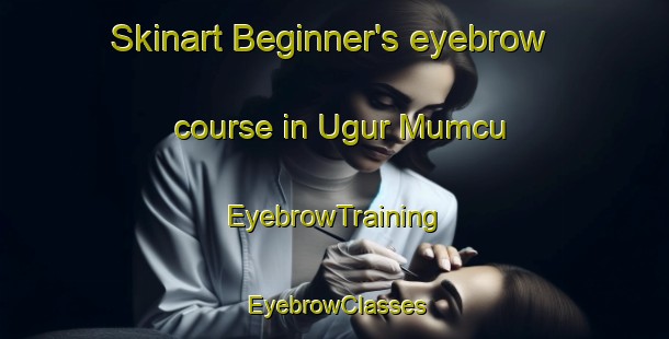 Skinart Beginner's eyebrow course in Ugur Mumcu | EyebrowTraining | EyebrowClasses | SkinartTraining-Turkey