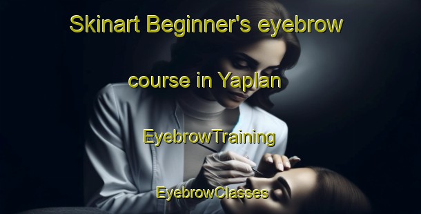 Skinart Beginner's eyebrow course in Yaplan | EyebrowTraining | EyebrowClasses | SkinartTraining-Turkey