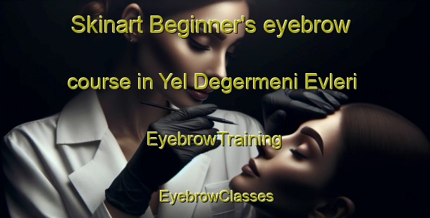 Skinart Beginner's eyebrow course in Yel Degermeni Evleri | EyebrowTraining | EyebrowClasses | SkinartTraining-Turkey