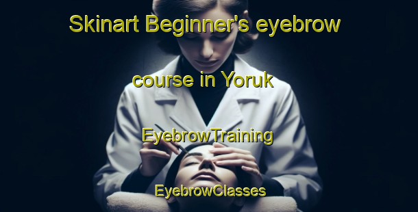 Skinart Beginner's eyebrow course in Yoruk | EyebrowTraining | EyebrowClasses | SkinartTraining-Turkey