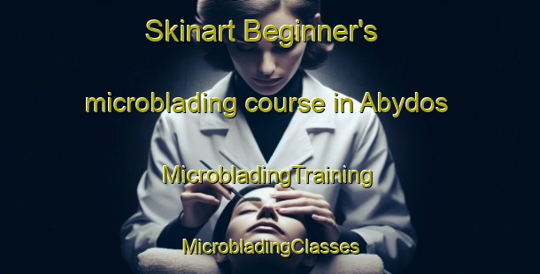 Skinart Beginner's microblading course in Abydos | #MicrobladingTraining #MicrobladingClasses #SkinartTraining-Turkey