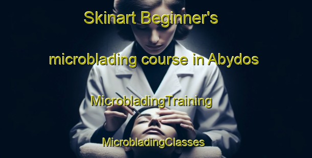 Skinart Beginner's microblading course in Abydos | MicrobladingTraining | MicrobladingClasses | SkinartTraining-Turkey