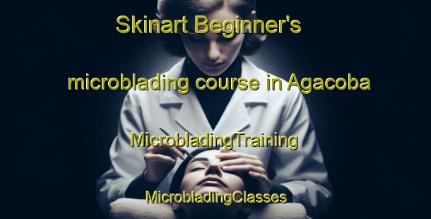 Skinart Beginner's microblading course in Agacoba | #MicrobladingTraining #MicrobladingClasses #SkinartTraining-Turkey