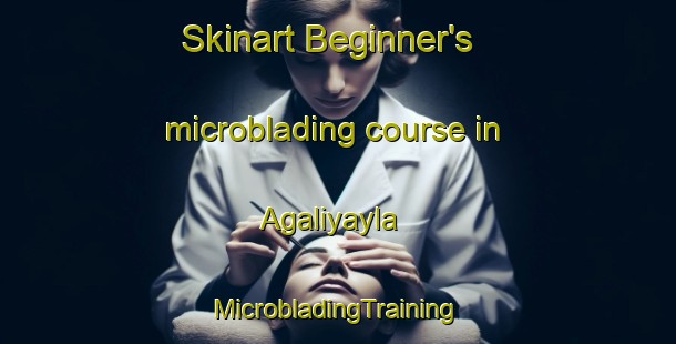 Skinart Beginner's microblading course in Agaliyayla | #MicrobladingTraining #MicrobladingClasses #SkinartTraining-Turkey