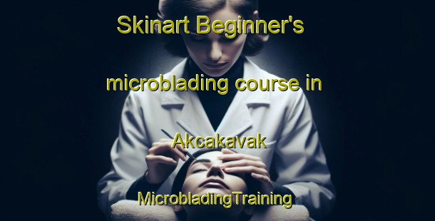 Skinart Beginner's microblading course in Akcakavak | #MicrobladingTraining #MicrobladingClasses #SkinartTraining-Turkey