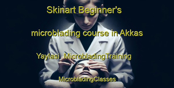 Skinart Beginner's microblading course in Akkas Yaylasi | #MicrobladingTraining #MicrobladingClasses #SkinartTraining-Turkey