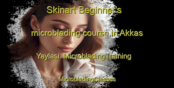 Skinart Beginner's microblading course in Akkas Yaylasi | #MicrobladingTraining #MicrobladingClasses #SkinartTraining-Turkey