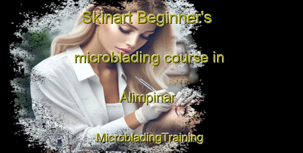 Skinart Beginner's microblading course in Alimpinar | #MicrobladingTraining #MicrobladingClasses #SkinartTraining-Turkey