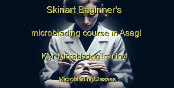 Skinart Beginner's microblading course in Asagi Kiyi | #MicrobladingTraining #MicrobladingClasses #SkinartTraining-Turkey